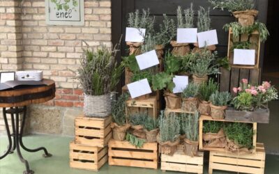 Allestimento fiere a Bologna: vieni con noi al Cersaie 2025