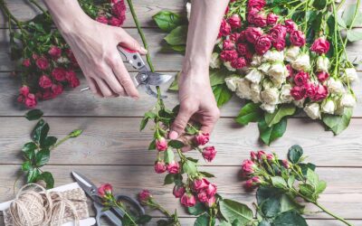 Piante e fiori di Fiorista Donatella a Bologna